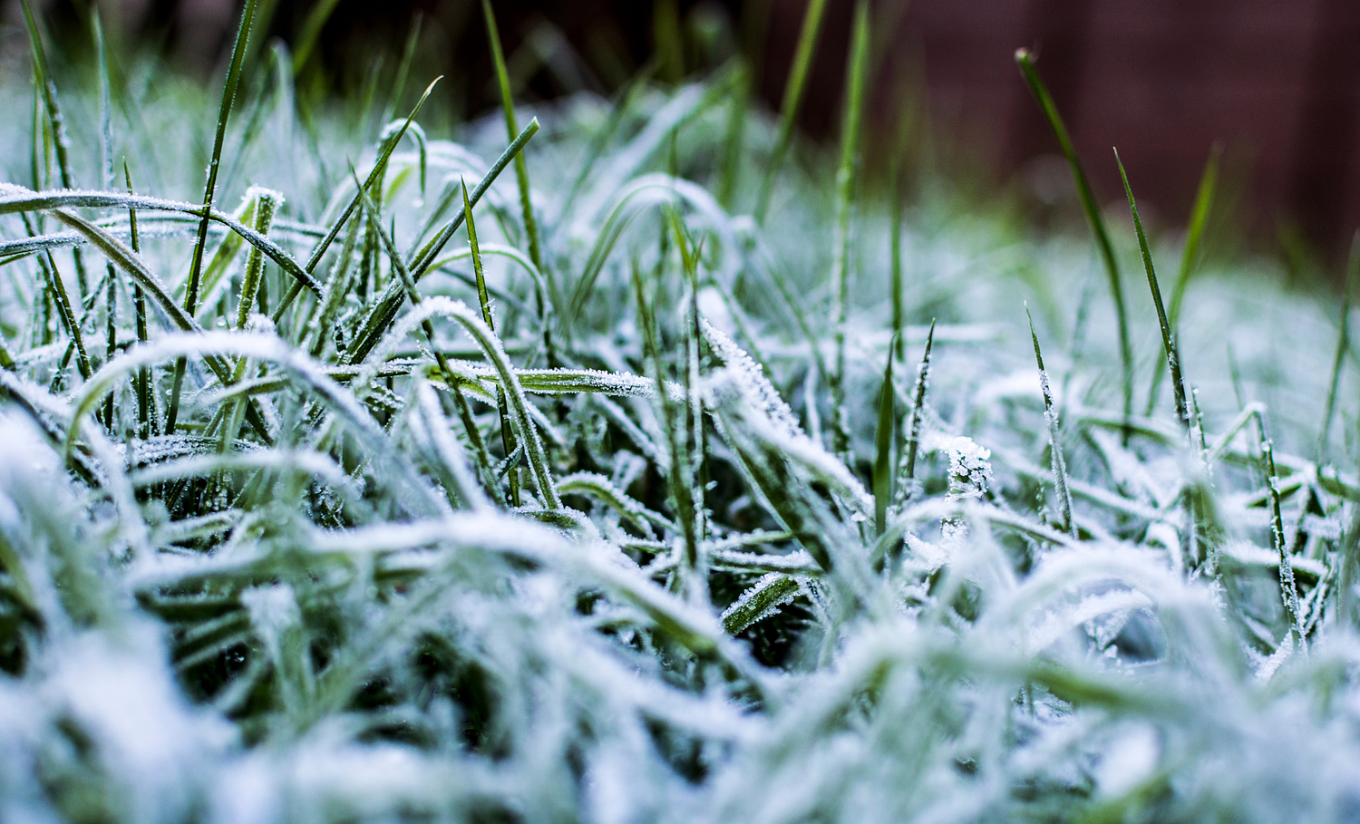 From 80 degrees to frost: A dramatic weather swing is hitting Pa. this weekend, here’s what to know
