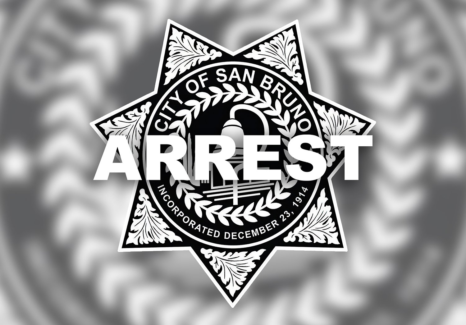 Regional: San Francisco Man Arrested In San Bruno On Suspicion Of Weapons Crimes