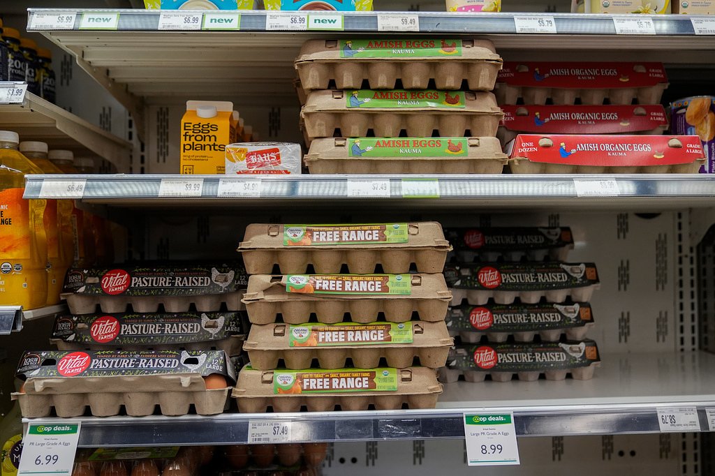 Egg producers will pay $3.3M and donate 53 million eggs to settle price fixing claims