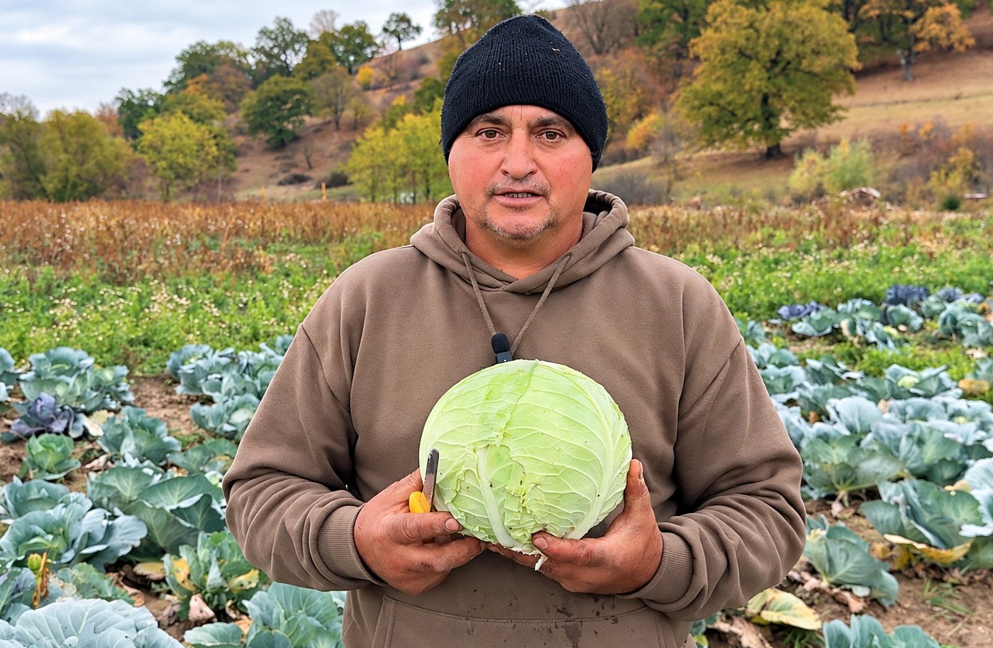 Varza de Cașolț, raritate în piețele Sibiului: doar doi cultivatori mai produc, iar tarabele sunt pline cu marfă din alte județe / video foto