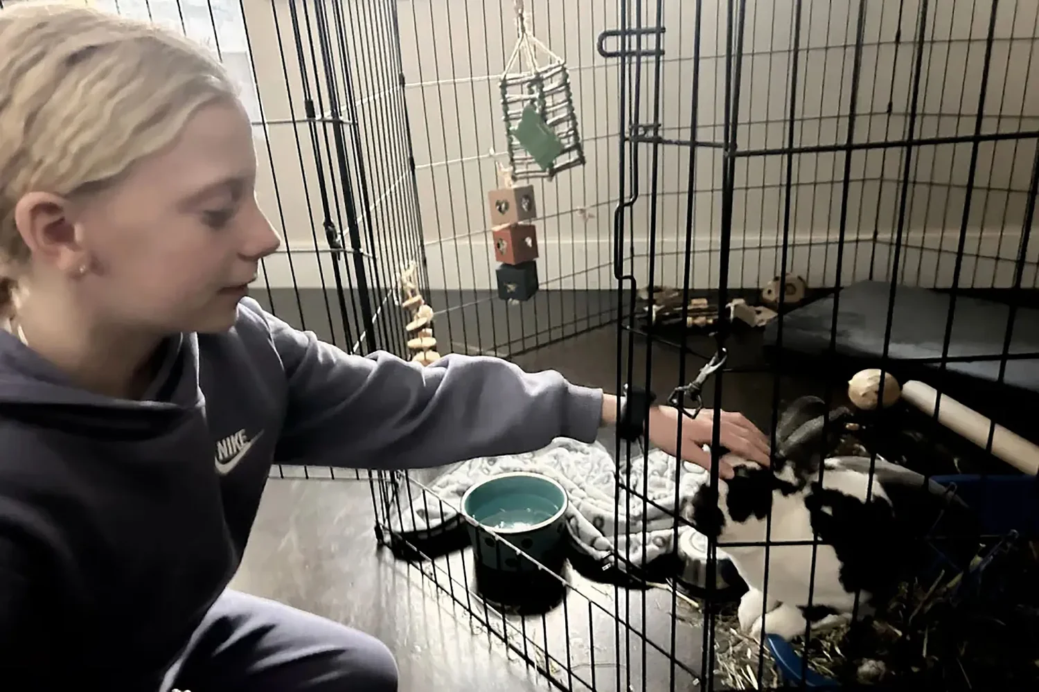 Kid governor Jade Adams wanted New Hampshire to ban animal testing. She might get her wish