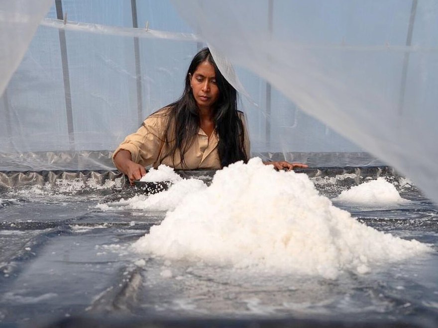 Maine woman harvests sea salt on remote offshore island