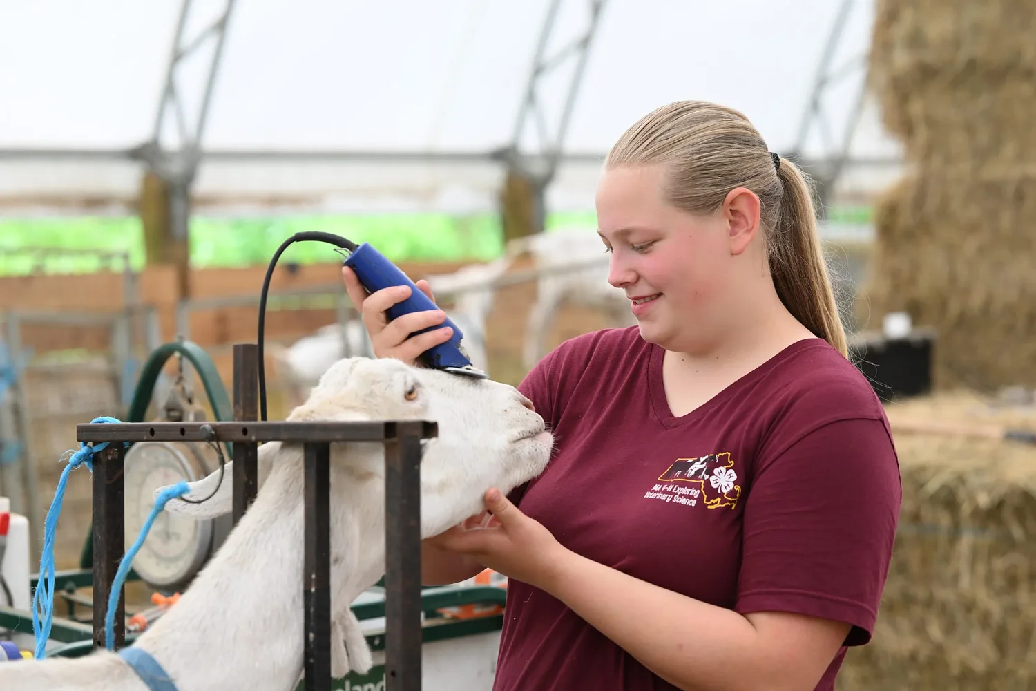 Franklin County farmers compete with the GOATs at national goat show
