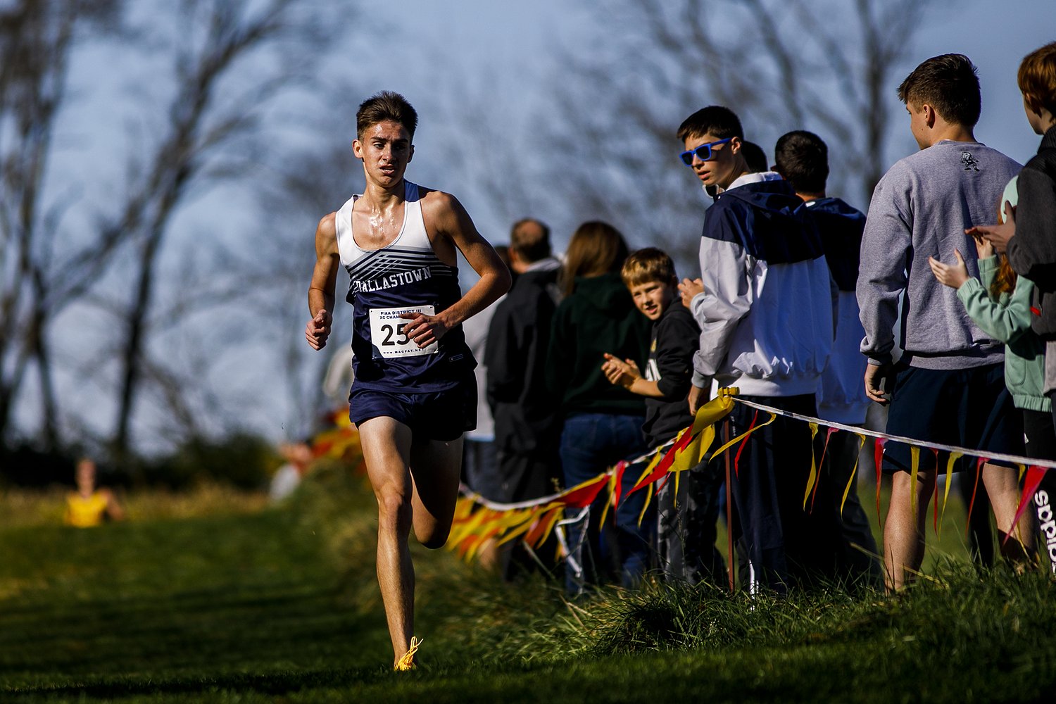 Dallastown’s Farbman emerges from pack for District 3 cross country gold; Manheim Township three-peats