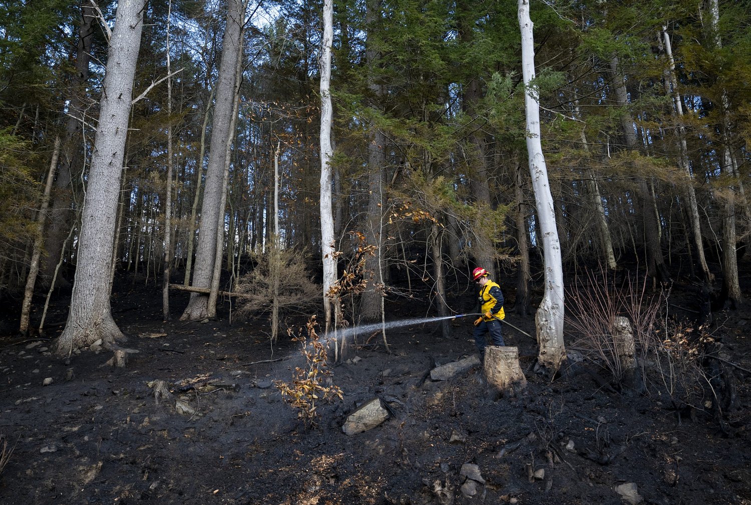 Downed powerline sparks severe brush fire in Worthington