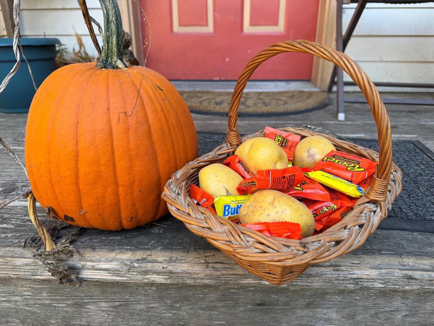 A cherished neighborhood tradition: tallying the trick-or-treaters on Halloween