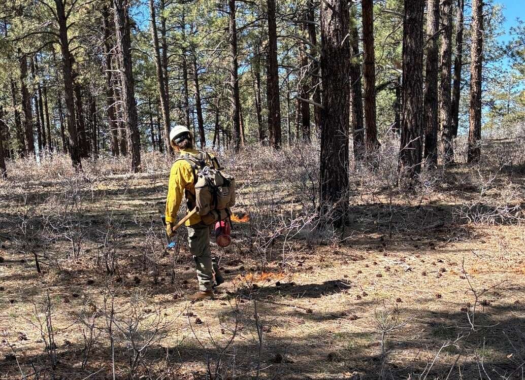 Bureau of Land Management to conduct prescribed burns northwest of Bayfield