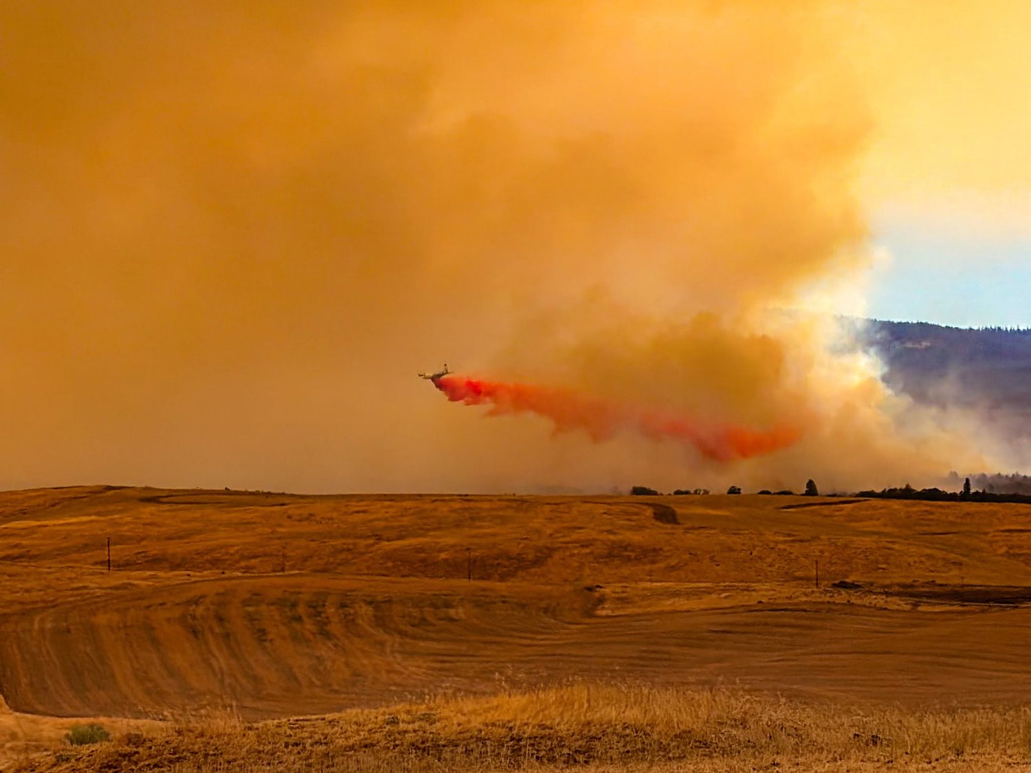 6 homes destroyed as Grasshopper fire mushrooms, burning more than 83,000 acres