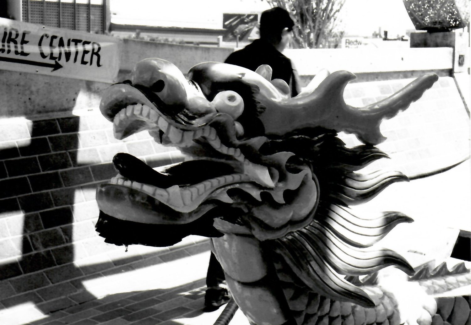 The dragon