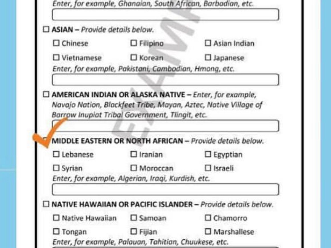 Michigan Arab Americans fought for Census recognition. Trump’s proposal could undo it.