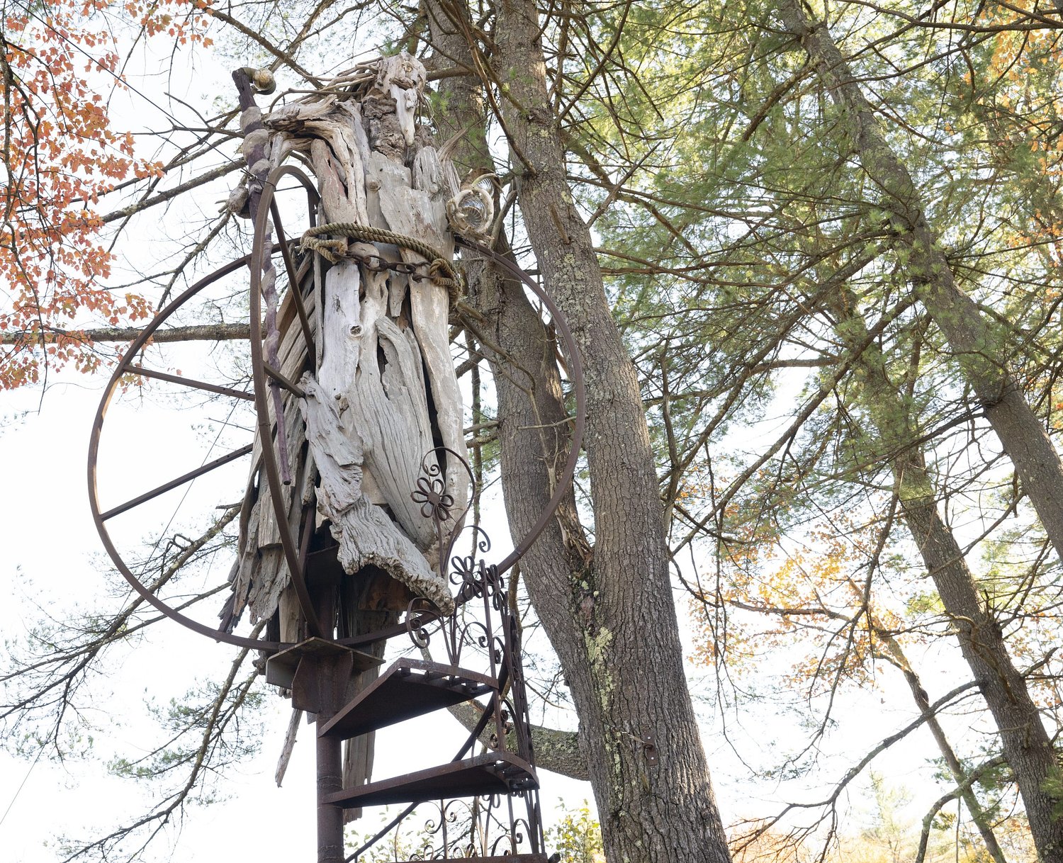 An artful farewell: Three Sisters Sanctuary founder reflects on mortality in final work