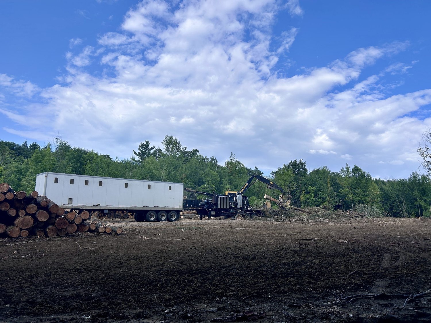Temple residents concerned over arsenic, lead contamination after logging at long-dormant orchard
