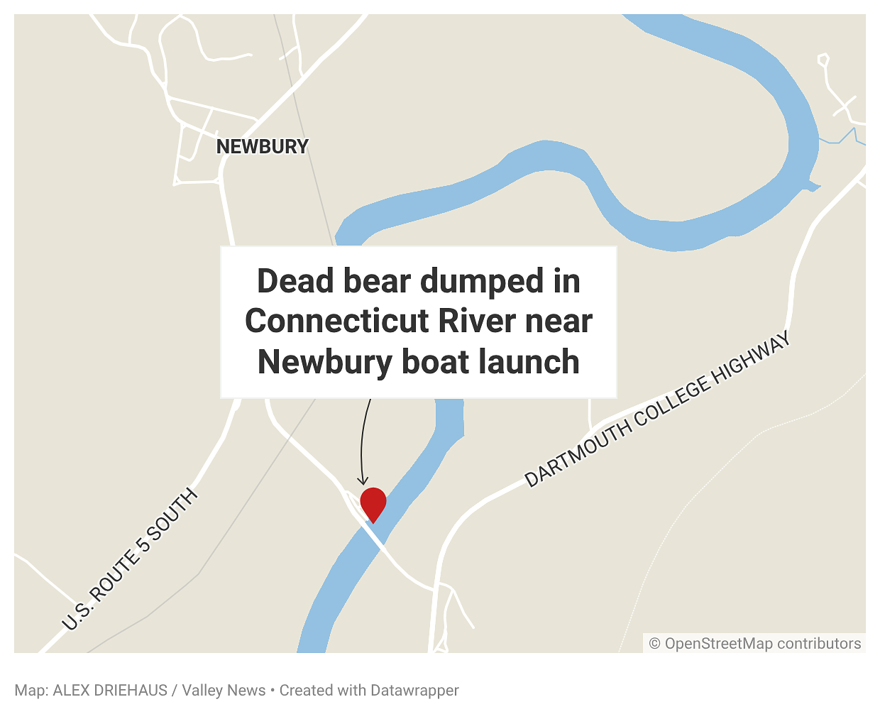 Vermont wildlife officials investigate killing of bear found in Connecticut River