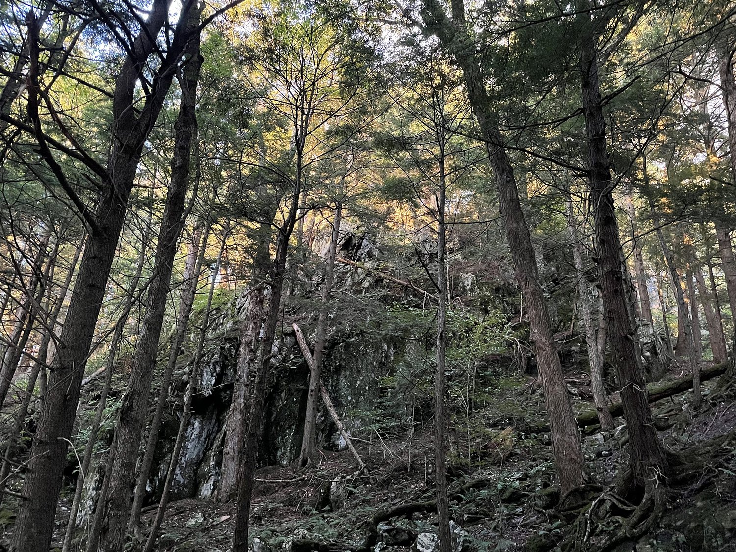 Thetford Trails Team buys 93-acre parcel at Union Village Dam