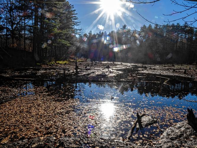 Lessons from Bow’s beaver dam conflicts shape new bill at State House