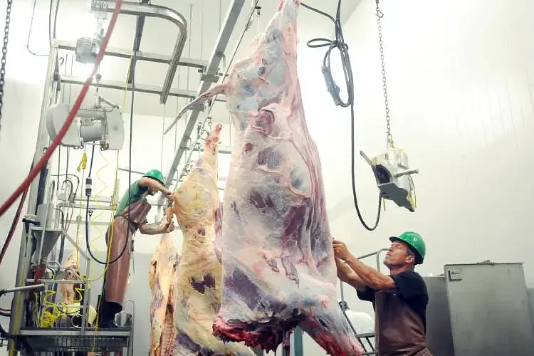 Opinion: Overcoming Gov. Ayotte's veto should be first step in providing farmers with relief and consumers with local meat at reasonable prices