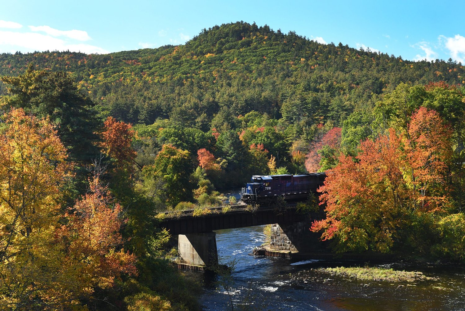 Local experts predict bright foliage after short delay