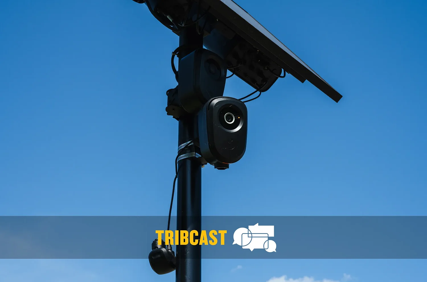 TribCast: The Flock camera freakout
