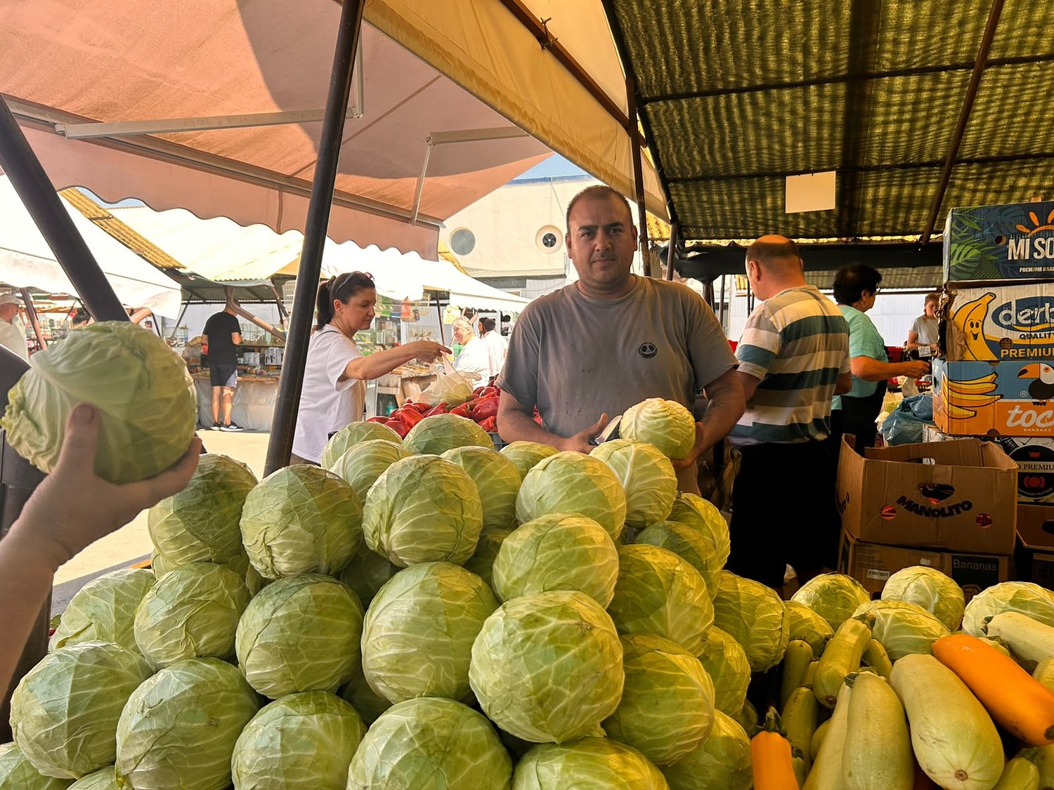 Au apărut primele legume pentru murături în Piața Cibin: cât costă varza, gogoșarii și ardeii / foto