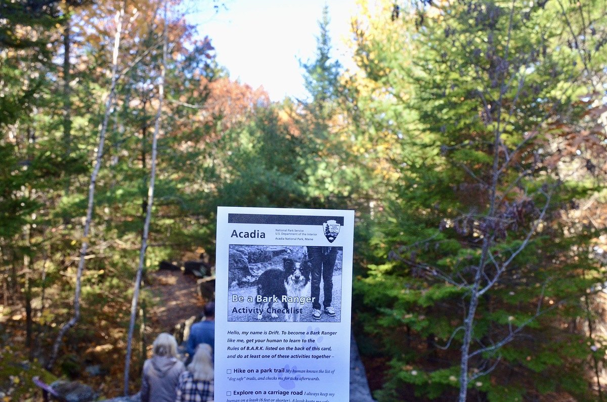 Acadia’s first Bark Ranger dog dies