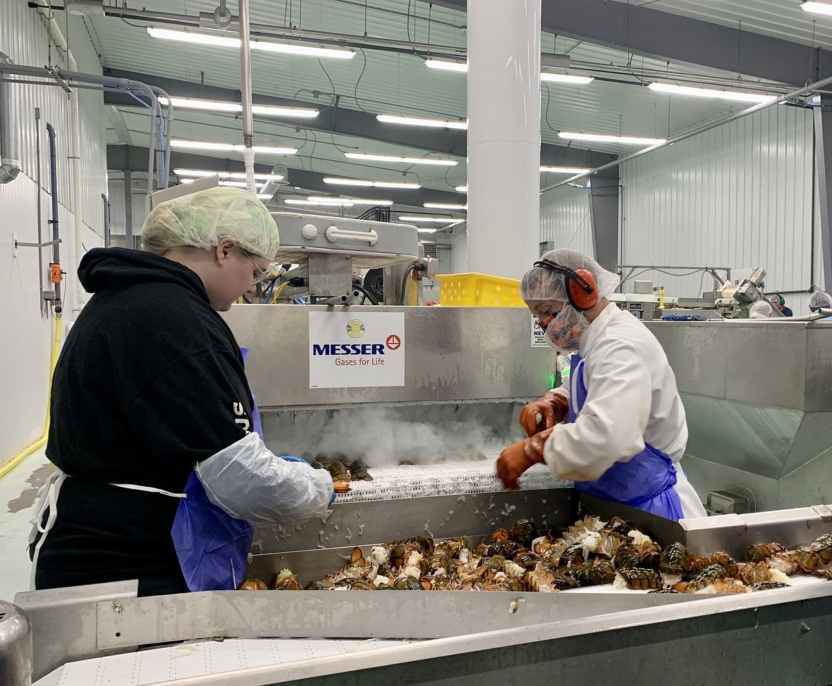 Lobster processor’s waste overwhelms Bucksport water treatment plant 