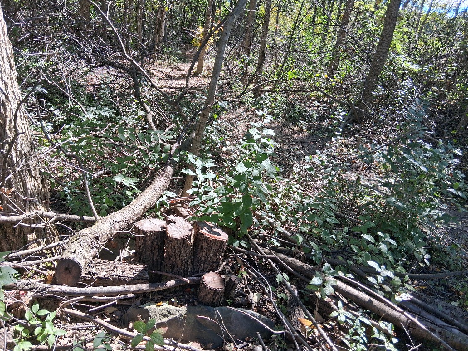 With permit still under review, judge dismisses federal lawsuit over fate of Horseshoe Lake