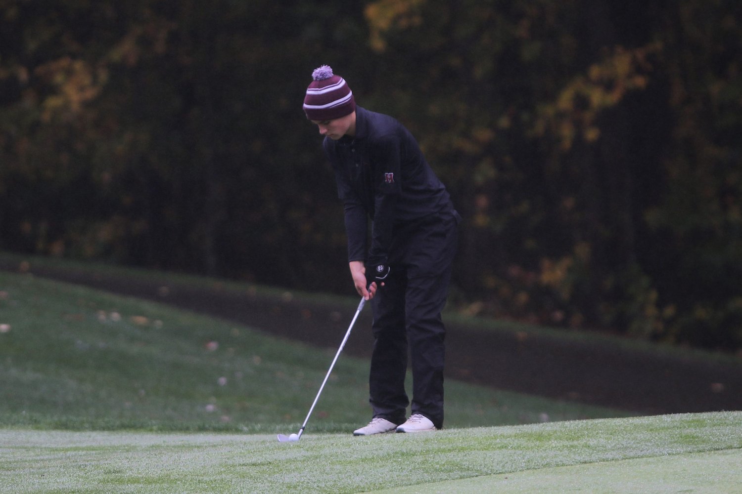 Golf: Hanover and Lebanon perform well at state championships