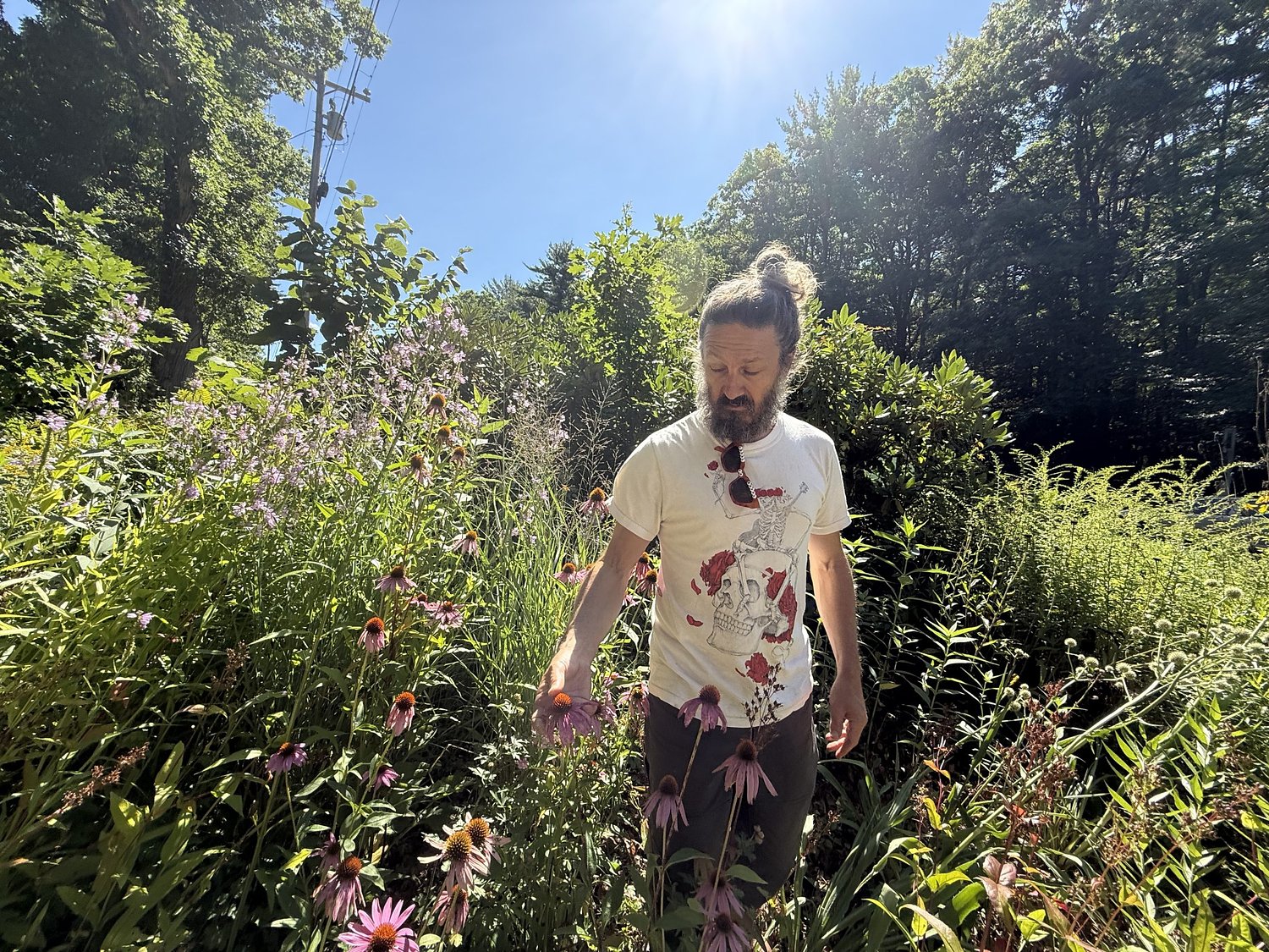 New Hampshire gardeners turn yards into habitats to restore local ecosystems