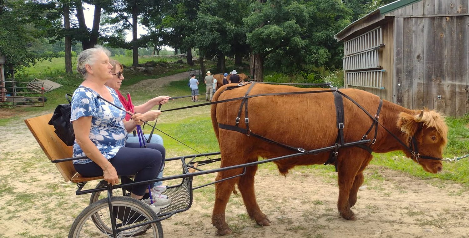 From the Farm: You don't need to see a cow to know one