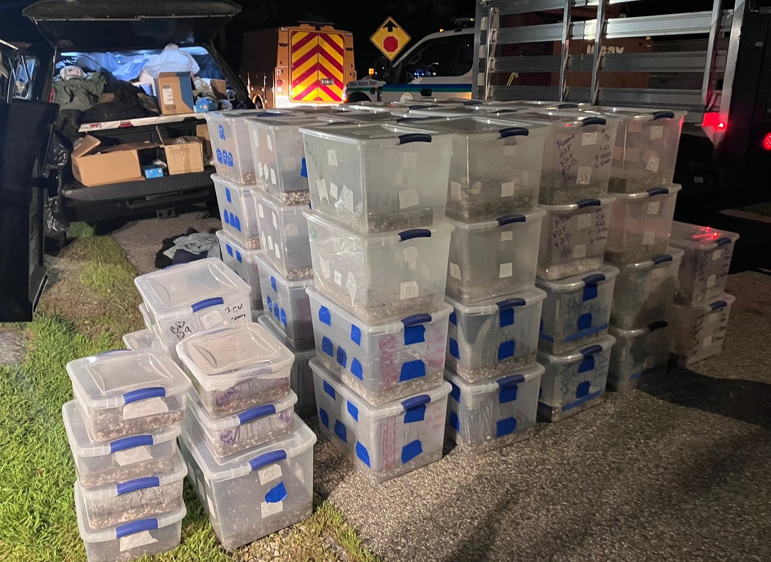 Maine man accused of growing more than 4 kilos of psilocybin mushrooms
