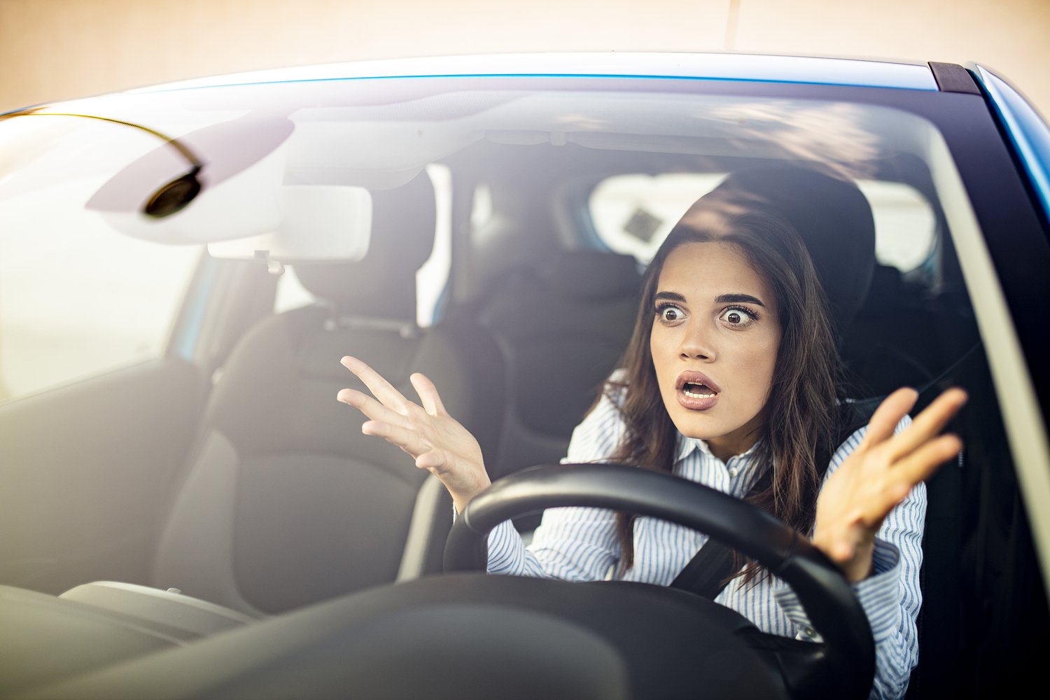 Good Morning, News: The I-5 Apocalypse Is Underway, R I P Beloved Comedian Nariko Ott, and AI Bosses Want to Tap the Brakes on AI. By William Steven Humphrey.