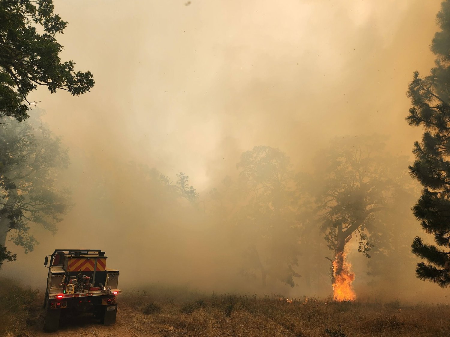 Wildfire in Columbia River Gorge prompts evacuations, shuts down popular recreation areas