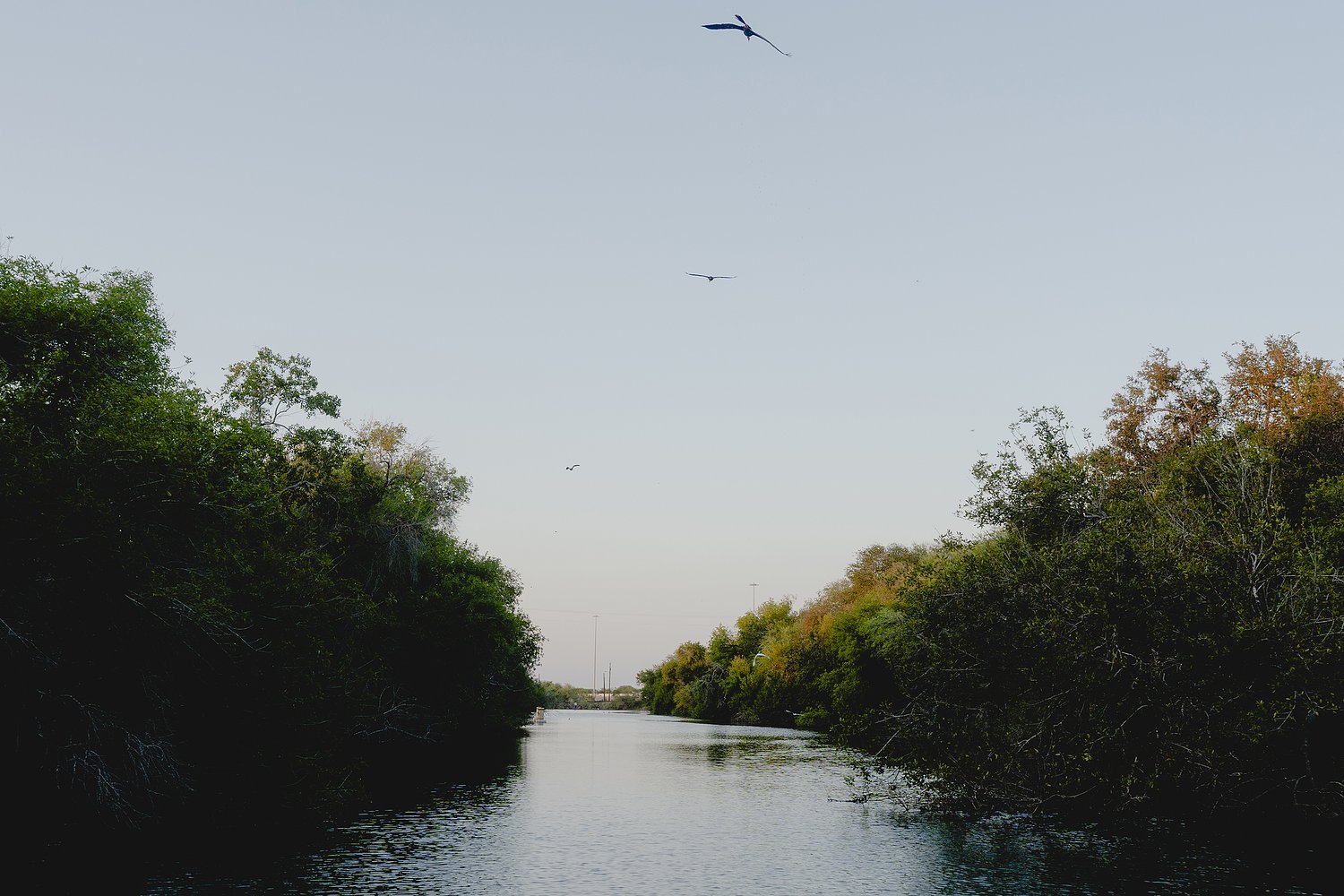 River authority’s budget woes are another blow to water-needy Corpus Christi