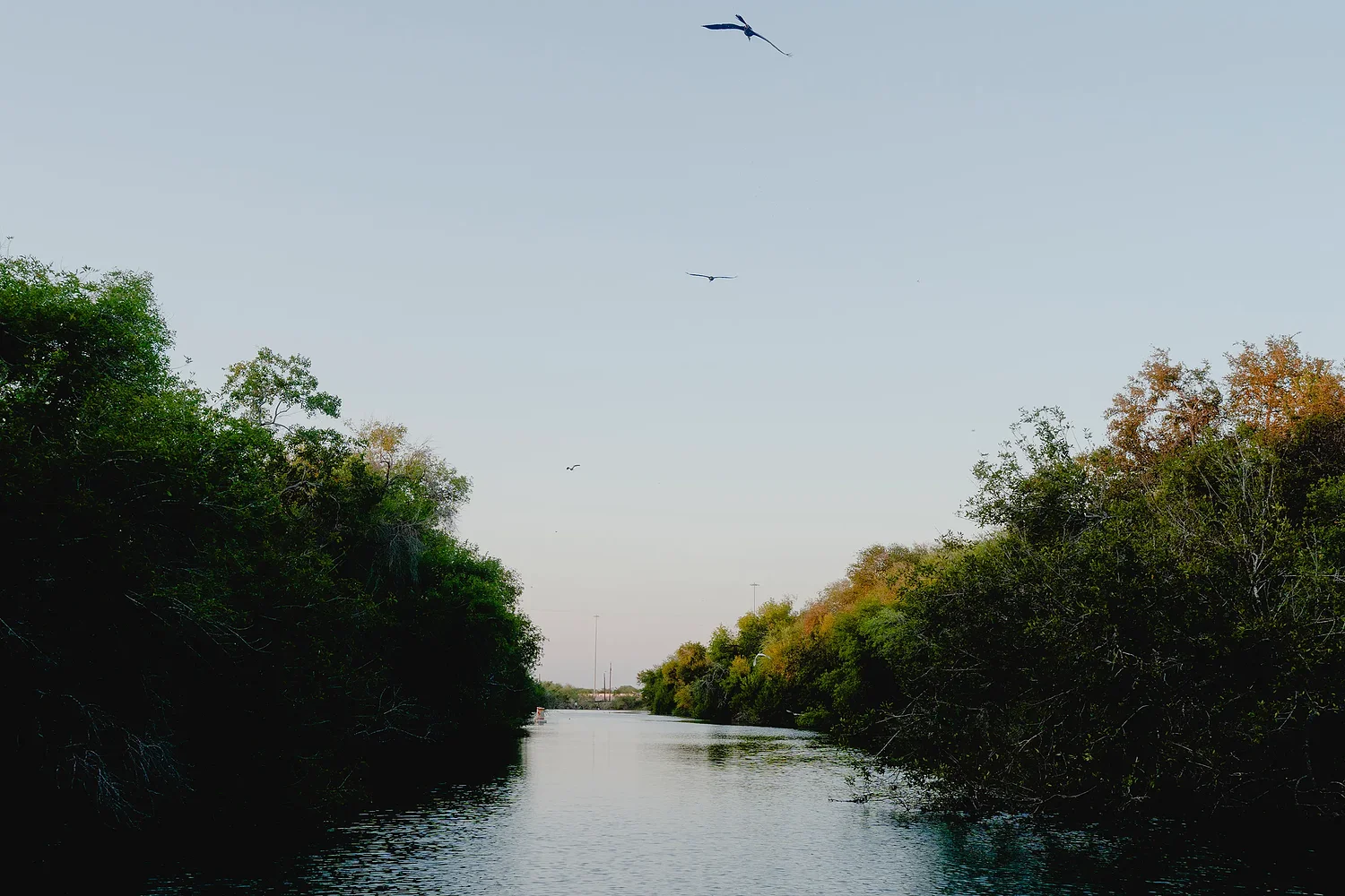River authority’s budget woes are another blow to water-needy Corpus Christi