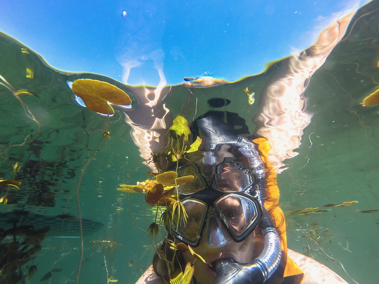 Snorkeling in Maine will open your eyes to 'fascinating' underwater world