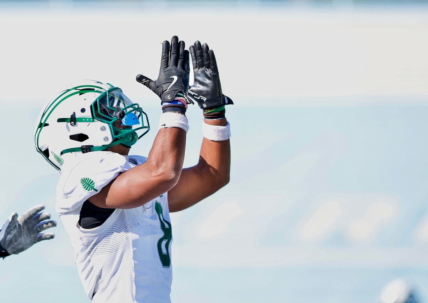 Ground and pound: Dartmouth grinds down Lions, 38-18