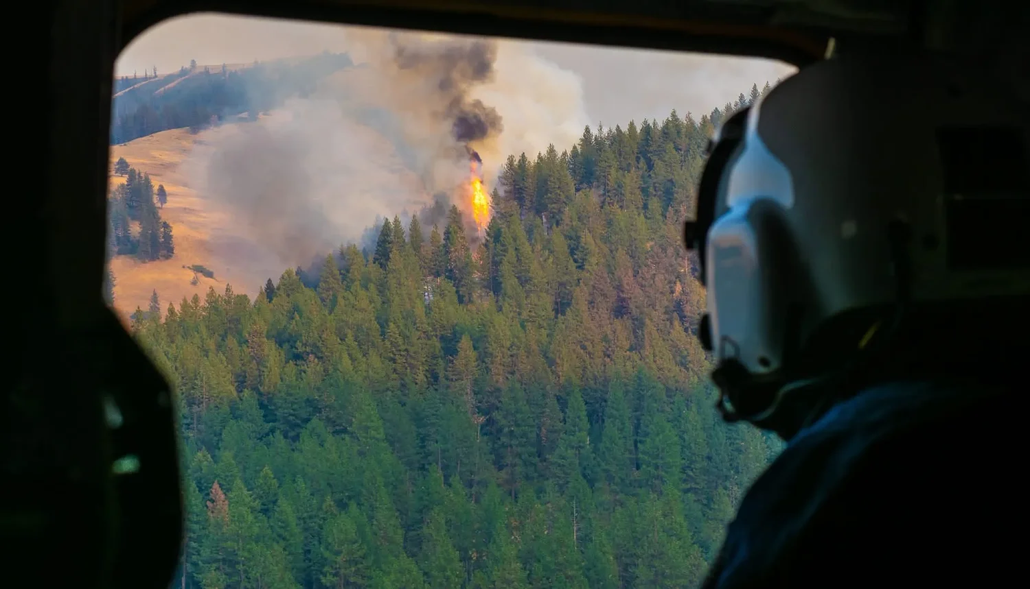 Good Morning, News: Wildfire Smoke Rolls into Portland, Women’s Sports and AI, and a Reminder That RFK Jr. Sucks. By Taylor Griggs.