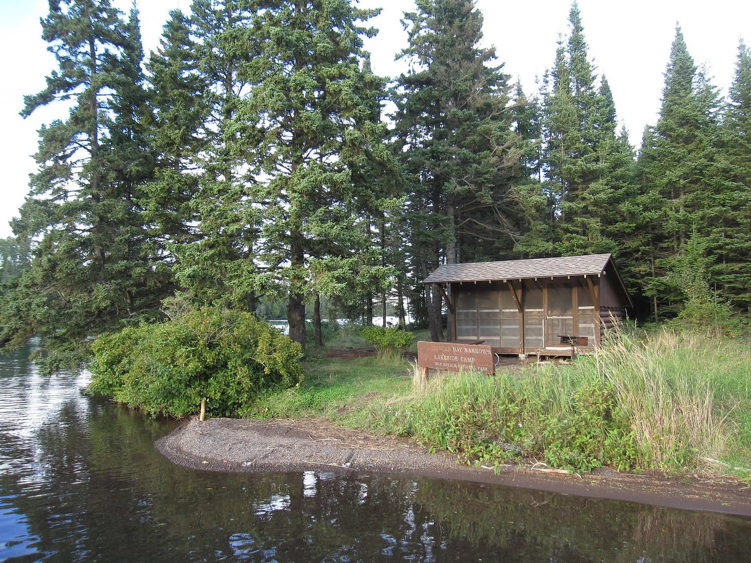 Isle Royale campground to temporarily close because of wildlife issue