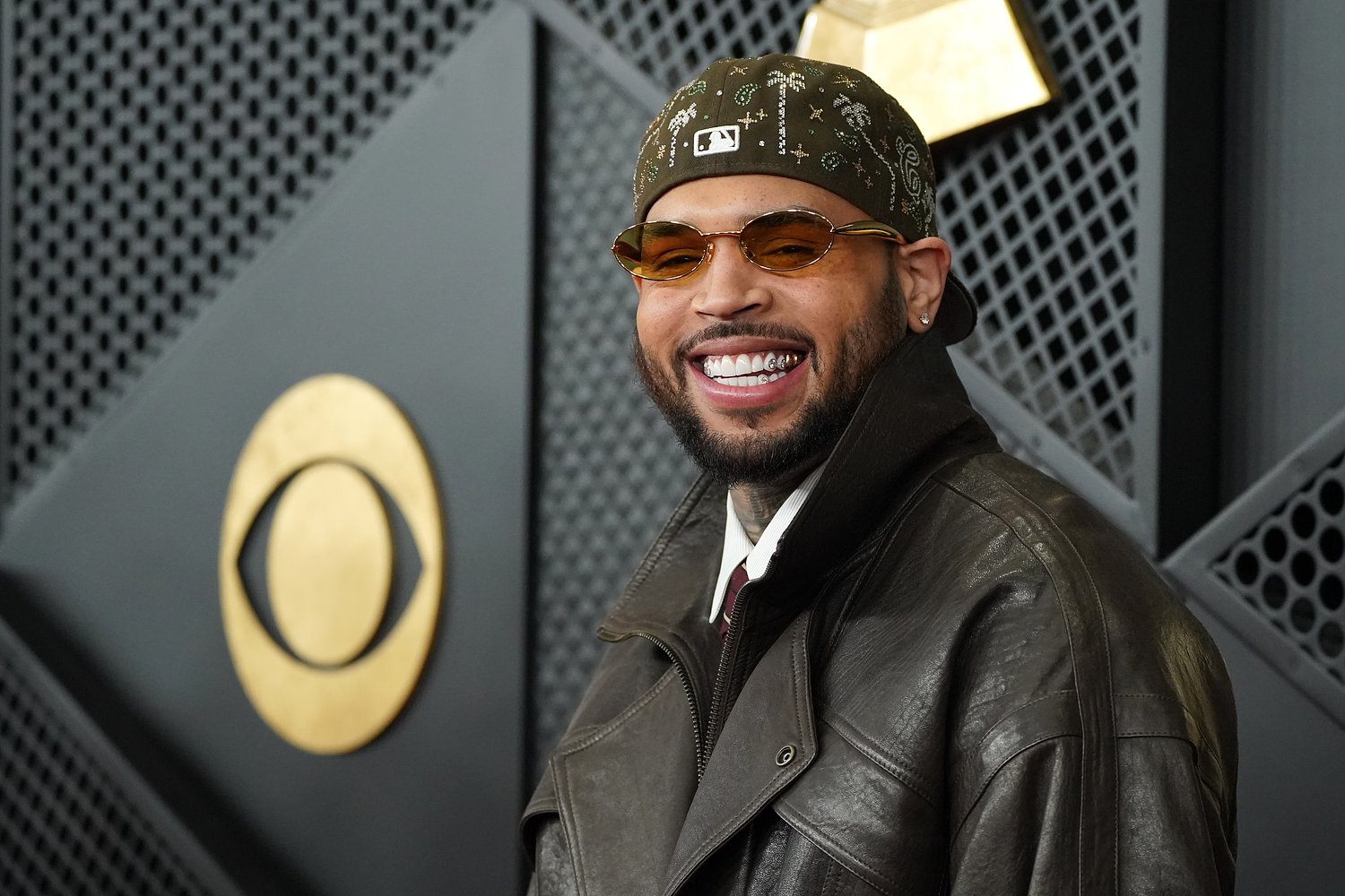 Famous singer must pay $13 million because of dog attack