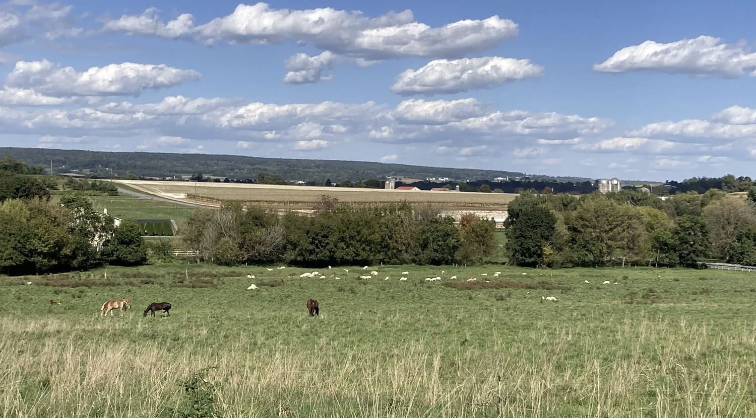 Some Amish recall COVID mandates and question government as measles deaths rise in Pa.