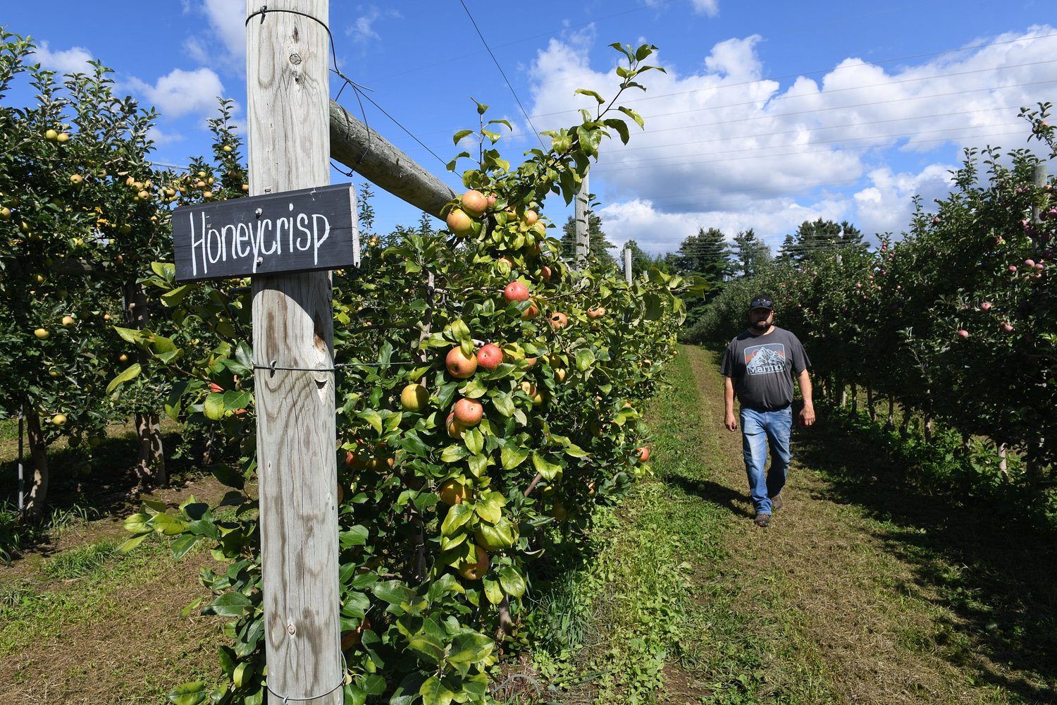 Valley Bounty: Autumn fun on the farm