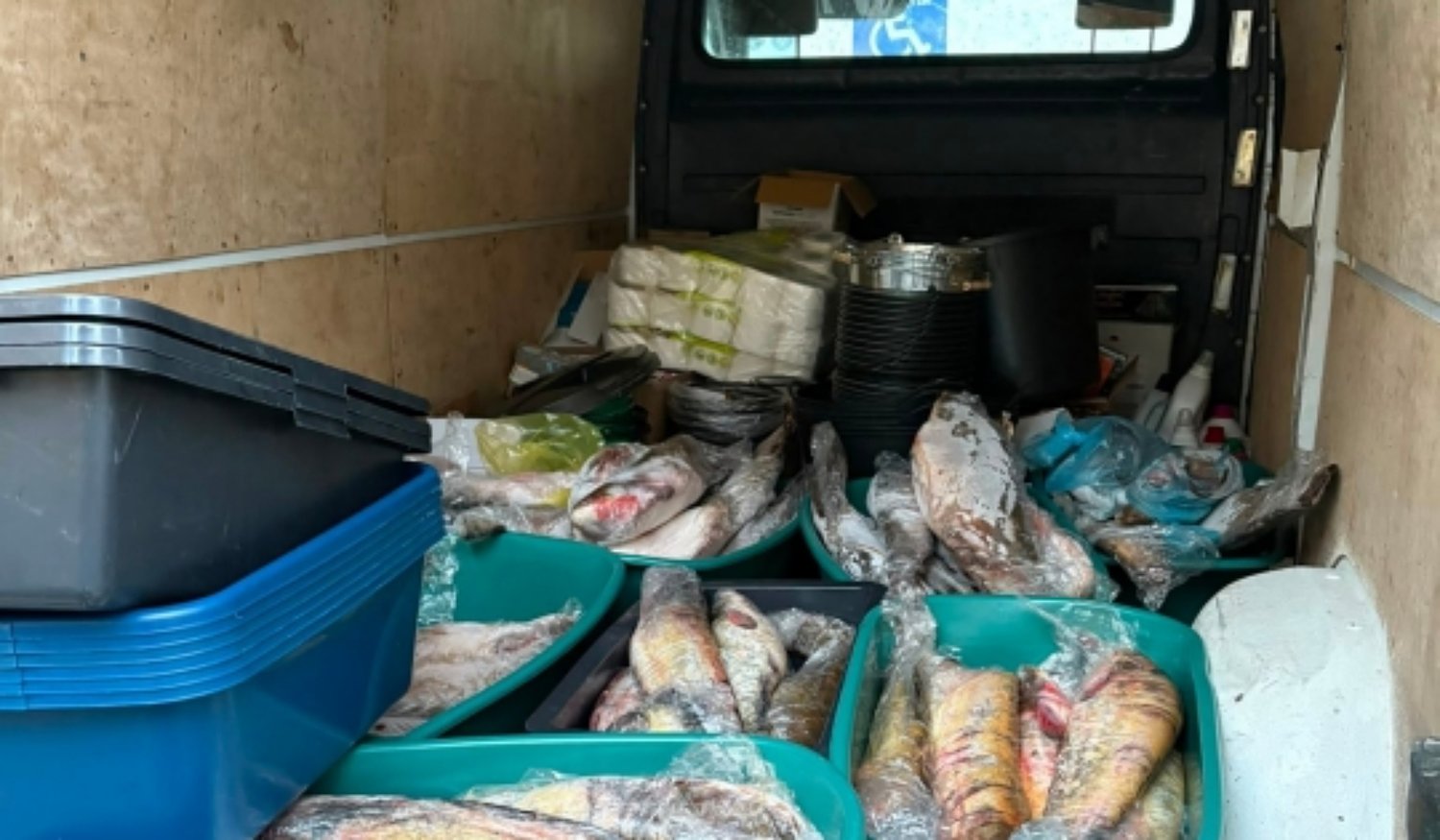 Sibiancă prinsă cu 200 kg de pește în dubă pe Clisura Dunării
