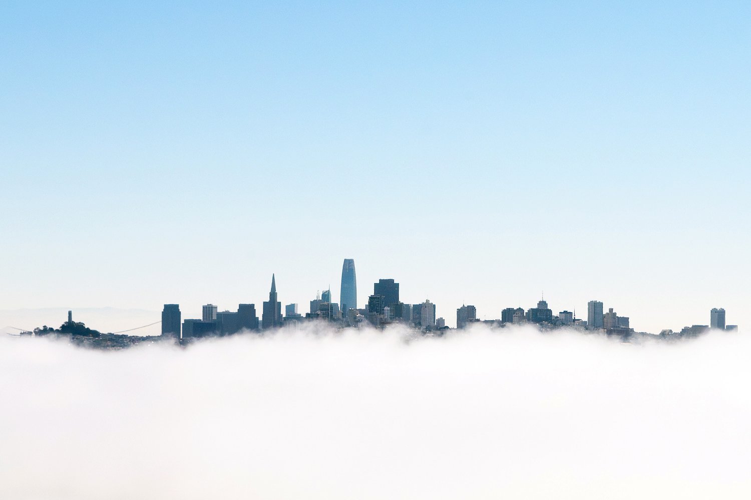 Bestselling book traces San Francisco tech's role in fostering fascism