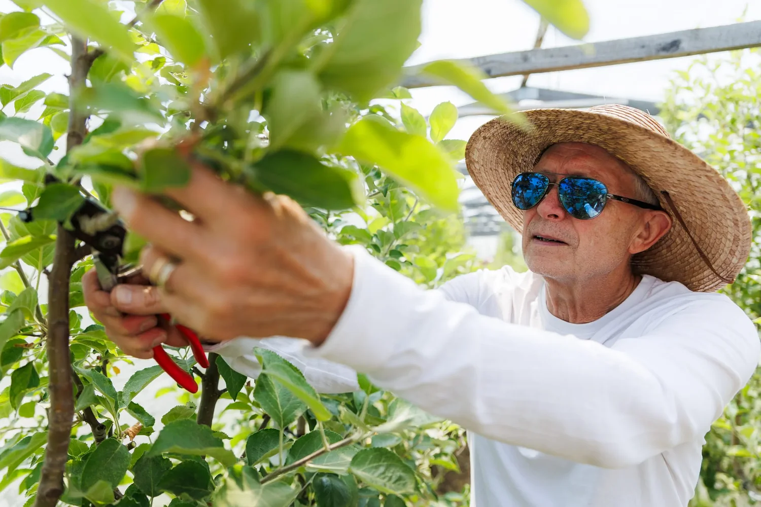 Can New Hampshire farms weather extreme heat without withering and heavy rains without washing away?