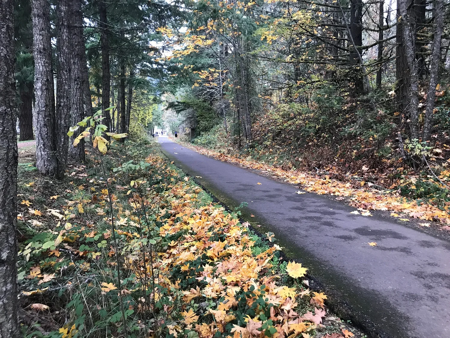 The Row River Trail, now popular for running and cycling, was once a Hollywood hot spot