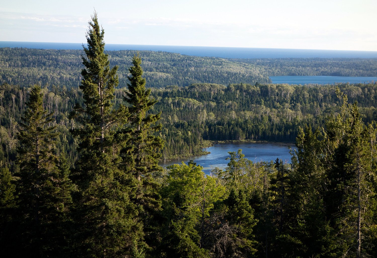 For 11 days, a lost hiker shouted for help on a remote Michigan island. Then 2 kayakers appeared