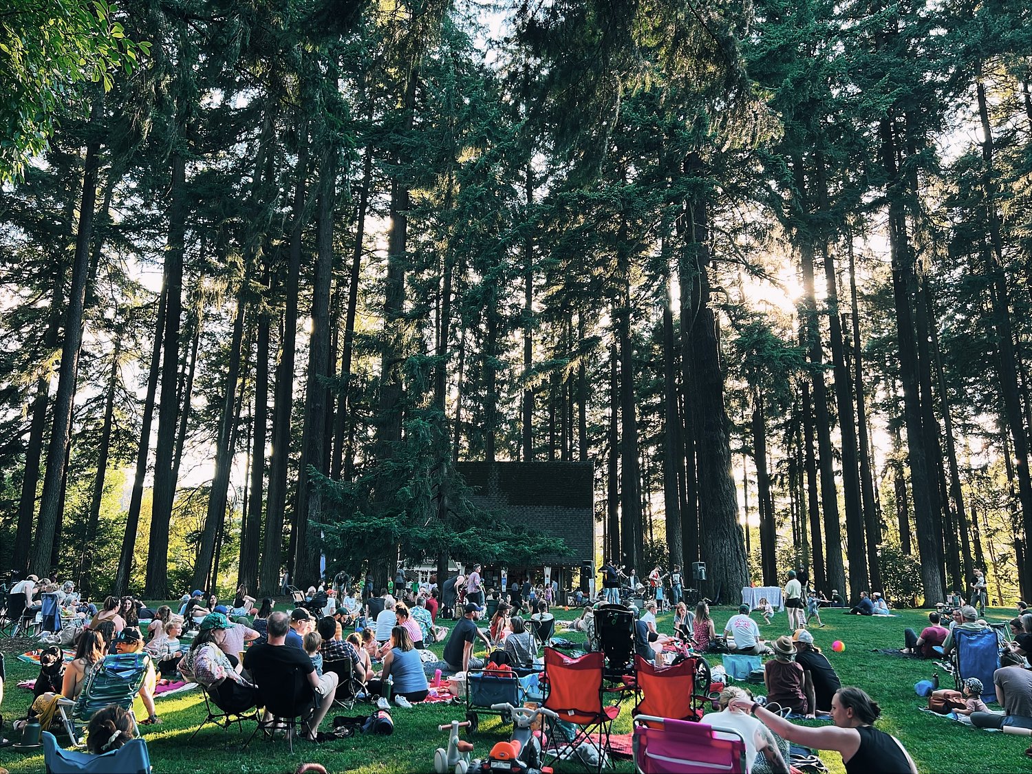 Sellwood Community House Curates Free Live Music in Sellwood Park All Summer Long 