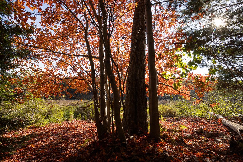 Few know about this trail in Acadia National Park