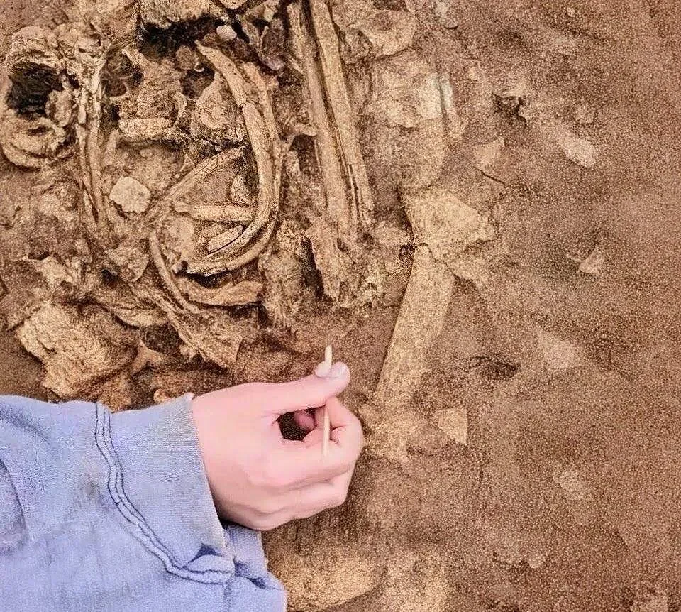 Dozens of headless skeletons pose a macabre mystery