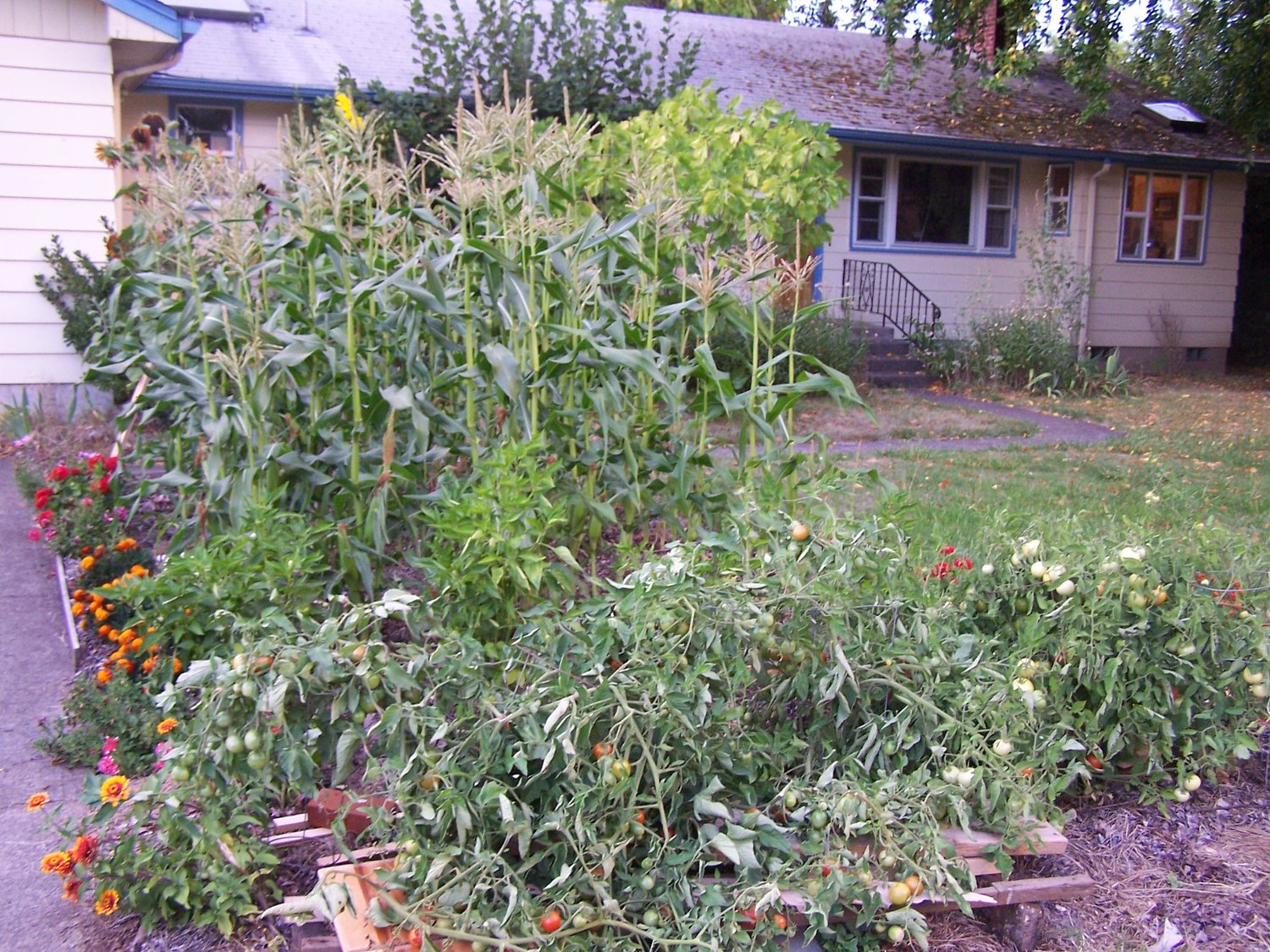 Have an urge to ‘clean up’ your garden? Stop! Put down the clippers. There’s another way.